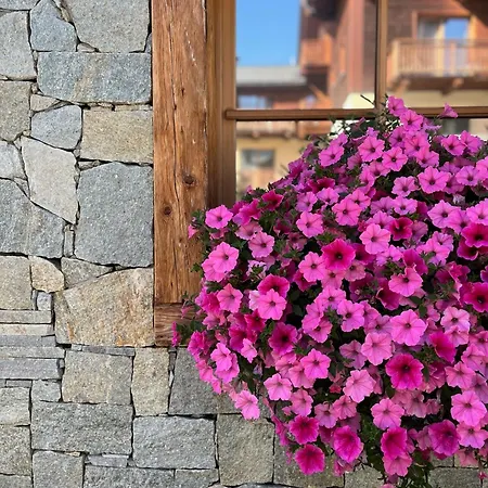 Bellavista شقة فندقية